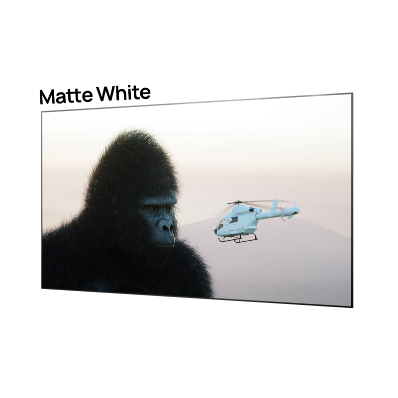100'' -150'' Matte White Screen
